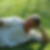 Profilbild von Ralf Stiller