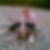 Profilbild von Christine Truhlsen