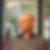 Profilbild von Klaus Bosselmann