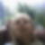 Profilbild von Lissa Marie Tornow