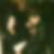 Profilbild von Ferid Bilalovic