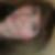 Profilbild von Janine Stein