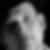 Profilbild von Olaf Reichmann
