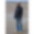 Profilbild von Heike Sinnig