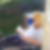 Profilbild von Andrea Kind