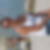Profilbild von Sabrina Millen