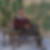 Profilbild von Rainer Karl