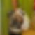 Profilbild von Romy Schulze