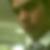 Profilbild von Amir Aliakbar Nazari
