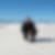 Profilbild von Torsten Sattler