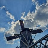 Profilfoto von Cornelia Schlicht