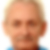 Profilbild von Peter Schütz
