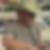 Profilbild von Thorsten Richardt
