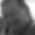 Profilbild von Manfred Piskol