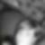 Profilbild von Janine Seidewitz