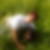 Profilbild von Anke Niederdorfer