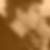 Profilbild von Swen Ott