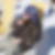 Profilbild von Stanley Geth