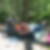 Profilbild von Cornelia Roth