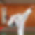Profilbild von Ingo Hirt