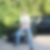 Profilbild von Mario Körting