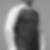 Profilbild von Florian Söhnchen