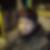 Profilbild von Liane Kallenbach