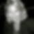 Profilbild von Elisabeth Hesse