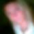 Profilbild von Claudia Mischel