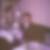 Profilbild von Dieter Krasser