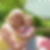 Profilbild von Renate Grieshaber