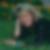 Profilbild von Marina Flickinger