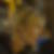 Profilbild von Anja Hinnerks