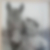 Profilbild von Claus Beeck