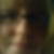Profilbild von Andrea Schmidt