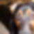 Profilbild von Rene Dohmen