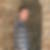 Profilbild von Christoph Marseille