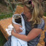 Profilfoto von Katrin Fuchs