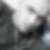 Profilbild von Benjamin Horsch