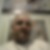 Profilbild von Franke Adolf