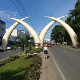 Profilfoto von Petra Wölfel