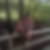 Profilbild von Birgit Zwick
