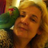 Profilfoto von Claudia Schumann