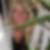 Profilbild von Daniela Jeß