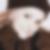 Profilbild von Cornelia Sallie