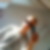 Profilbild von Christoph Seuffert
