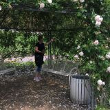 Profilfoto von Petra Bednorz