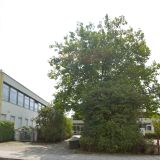 Foto der Schule Städtische Wilhelm-Röntgen-Realschule, München