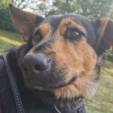 Profilfoto von Jürgen Fuhrmann