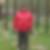Profilbild von Ulrike Westhues